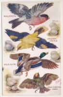 Birds on the Wing. Raphael Tuck &amp; Sons 'Oilette' Series No. 3375. litho s: M. Bowl...