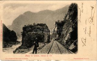 1904 Masa lui Traian stanca pe Olt. Stengel &amp; Co., Stauceanu &amp; Onofrei / general vie...
