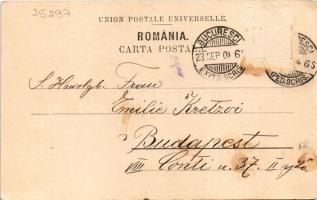 1904 Masa lui Traian stanca pe Olt. Stengel &amp; Co., Stauceanu &amp; Onofrei / general vie...