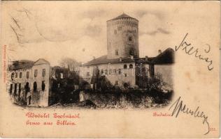 1899 Zsolna, Sillein, Zilina; Budatin vár, kastély. Nürnberg Ármin kiadása / Budatín castle (fl)