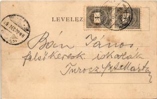 1899 Zsolna, Sillein, Zilina; Budatin vár, kastély. Nürnberg Ármin kiadása / Budatín castle (fl)