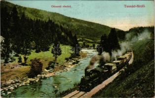 1910 Tusnádfürdő, Baile Tusnad (Csík megye); Oltmenti részlet, gőzmozdony. Brunner Lajos kiadása / r...