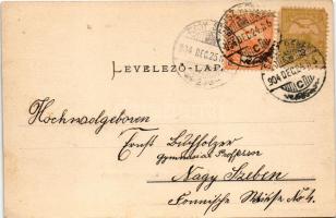 1904 Szászrégen, Reghin; Magyarrégeni utca, Kosch üzlete. Hübner kiadása / street view, shop