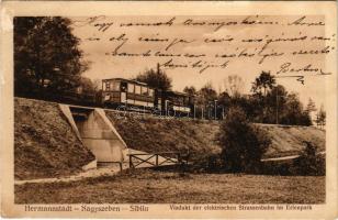 1912 Nagyszeben, Hermannstadt, Sibiu; Viadukt der elektrischen Strassenbahn im Erlenpark / Erlen par...