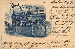 1899 Busteni, Eliseul Valea Cerbului. J. Naghel / valley, castle (cut)