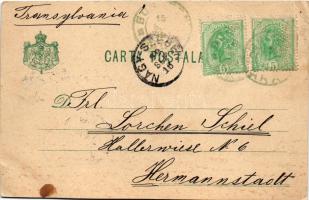 1899 Busteni, Eliseul Valea Cerbului. J. Naghel / valley, castle (cut)