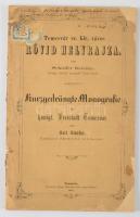 Schäffer, Károly: Temesvár sz. kir. város rövid helyrajza. Kurzgedrängte Mono­grafie der königl. Fre...