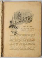 Bánfi János: Magyar László utazásai és kalandjai az érettebb ifjúság számára. Bp., 1892, Révai, (Pal...