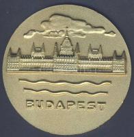 1981-82. &quot;Magyar ülőröplabda bajnokság I. Budapest&quot; emlékérem díszdobozban 70mm