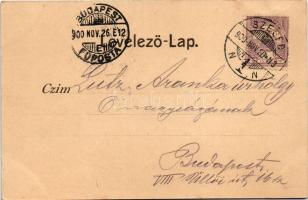 1900 Szeged, állami felsőbb leányiskola. Schulhof Károly kiadása (vágott / cut)