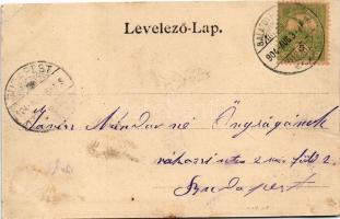 1904 Balaton, Vadrucales, vadász puskával és kutyával csónakban. Kampmann &amp; Co. No. 107. (vá...