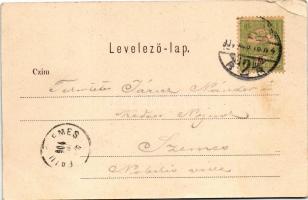 1904 Budapest II. Hűvösvölgy, Balázs-féle vendéglő, étterem kerthelyisége vendégekkel és pincérekkel...