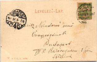 1904 Eger, város látképe, minaret, bazilika, templomok. M. K. dohány nagyáruda kiadása (fl)
