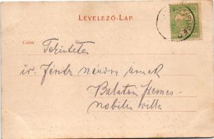 1905 Újtátrafüred, Neu-Schmecks, Novy Smokovec (Magas-Tátra, Vysoké Tatry); F. Pietschmann No. 516
