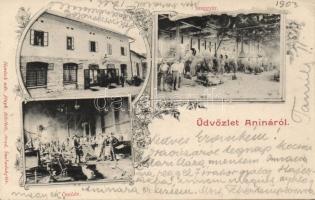 Anina Distillery and Foundry (EK)