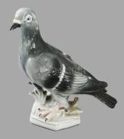 Régi német galamb porcelán figura, m: 17 cm