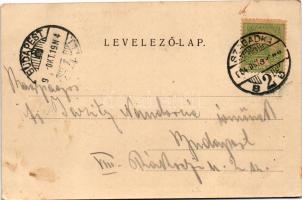 1904 Szabadka, Subotica; Fazekas ház. Wilheim Samu kiadása / house (fl)