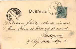 1904 Merano, Meran (Süditorl); Gilfpromenade und Zenoburg. Stengel &amp; Co. / promenade, castle...