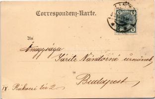 1904 Linz, Staatsbahn-Direktionsgebäude. Druck von E. Mareis / railway directorate (EK)