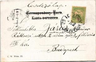 1904 Holzmarkt in Bosnien / Drvari u Bosni. C. W. Wien / Bosnian folklore, market + "BROOD - BU...