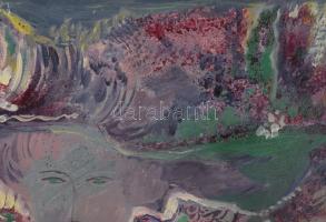 Véghseő Klára (1953-): "Impresszió (Kalapos hölgy), 1985. Olaj, farost, jelzett. Hátoldalán Kép...