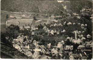1913 Cajnice, Cajnica; general view. Cappon (EB)