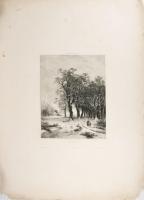 2 tájkép metszet ca 1860. Stephan Vöscher: Alpok (Aus dem Alpen). Acélmetszet, jelzett 29x21 cm Nagy...