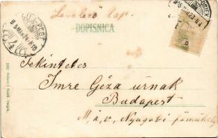 1905 Eszék, Essegg, Osijek; Kolodvorska cesta. Selzer i Rank / Bahnhofstrasse / Vasút utca / street ...