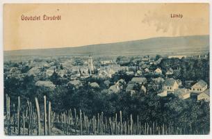 1911 Élesd, Alesd; látkép. Sándor Mór kiadása. W.L. 293. / general view (r)