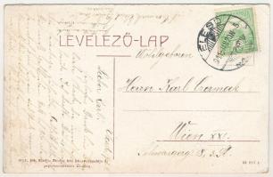 1911 Élesd, Alesd; látkép. Sándor Mór kiadása. W.L. 293. / general view (r)