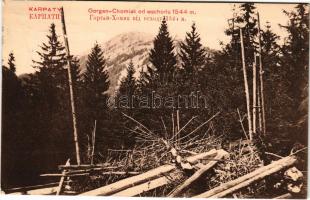 1913 Kárpátok, Carpathian Mountains; Gorgánok, Homjak / Gorgan, Chomiak od wschodu 1544 m. / mountai...