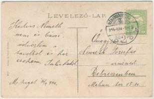 1914 Máramarossziget, Sighetu Marmatiei; Erzsébet főtér, zöld fóliával. Wizner és Dávid kiadása / sq...
