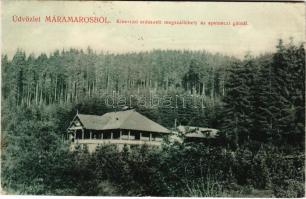 1910 Kőrösmező, Jasina; Apsineci gát, Kincstári erdészeti megszállóhely. Wizner és Dávid tulajdona, ...