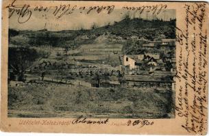 1901 Kolozsvár, Cluj; Erzsébet út / general view (Rb)