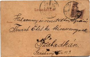 1901 Kolozsvár, Cluj; Deák utca napivásárral, piac, Stein János, Klenk Emília üzlete / street view, ...