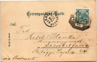 1901 Abbazia, Opatija; Nördlicher Strandweg. G: Rüger &amp; Co. (Wien) / sétány, strand / beach ...