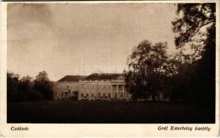 1935 Csákvár, Gróf Esterházy kastély. Hangya szövetkezet kiadása (kis szakadás / small tear)