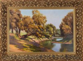 Bodor Miklós (1925-2010): Rába. Olaj, karton, jelzett. Dekoratív fakeretben, 40×60 cm