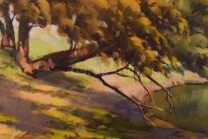 Bodor Miklós (1925-2010): Rába. Olaj, karton, jelzett. Dekoratív fakeretben, 40×60 cm
