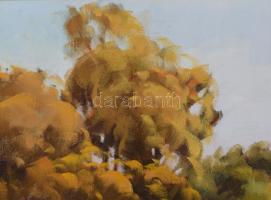 Bodor Miklós (1925-2010): Rába. Olaj, karton, jelzett. Dekoratív fakeretben, 40×60 cm