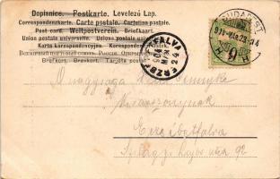 1904 Baranyai jegyespár / Brautpaar aus der Baranya / Hungarian folklore from Baranya, engaged coupl...