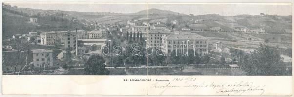 1906 Salsomaggiore, Grandiose Terme Magnaghi - 2-tiled folding panoramacard (fl)