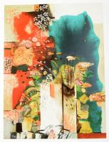 Nemes László: Slikar / festőművész / painter. Lendva, 2009, Magyar Nemzetiségi Művelődési Intézet, 1...