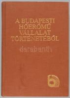 Varga István et al.: A Budapesti Hőerőmű Vállalat történetéből. Kelenföldi Erőmű 1914-1989. Újpesti ...