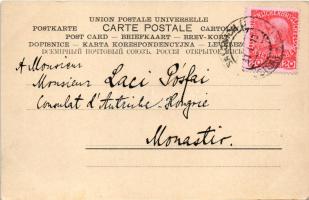 1910 Mitrovica, Kosovska Mitrovica; K.u.k. österr.-ung. Consulat in Mitrowitza / Austro-Hungarian Co...