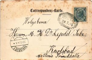 1904 Stod, Staab; main square, church, bridge. Verlag Wilh. Salz (EK)