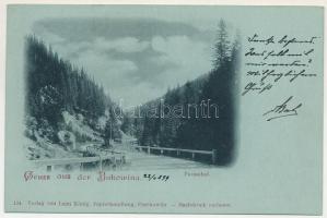 1899 Valea Putnei, Waleputna, Valeputna (Bukovina, Bucovina, Bukowina); Gruss aus der Bukowina. Putn...