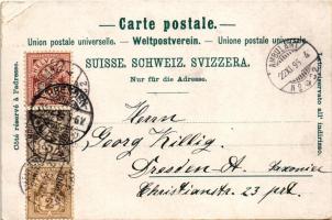 1895 (Vorläufer!!) Davos, Davos-Dorf, Davoser-See, Davos mit Seehorn / winter montage with village a...