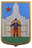 1970-1980 k. Zománcozott címer, egyoldalas bronz plaketten, hátlapon "KISKUNFÉLEGYHÁZA VÁROS CÍ...