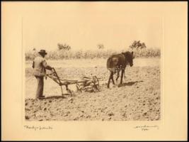 1931 Orphanides János (1876-1939): Pátyi szántó. Fotoheliogravür, papír, jelzett, 13,5x17,5 cm